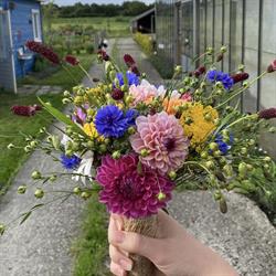 Samen op de tuin, Zuidbroek openingstijden