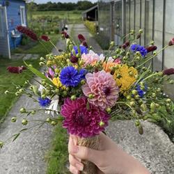 Samen op de tuin, Zuidbroek openingstijden