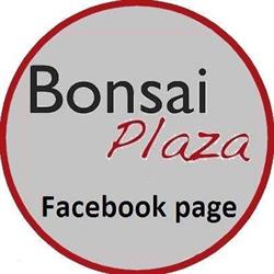 Bonsai Plaza Online Internet Bonsai-shop, Boskoop openingstijden