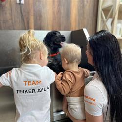 Trimsalon Beau aan de Amstel Amstelveen, openingstijden