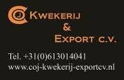 COJ Kwekerij & Export, Lisse openingstijden