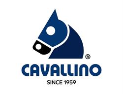 CAVALLINO TOYS, Woudenberg openingstijden