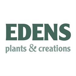 Edens Plants & Creations, Wezep openingstijden