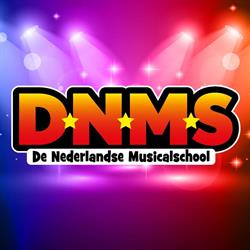 De Nederlandse Musicalschool B.V. Amersfoort, openingstijden