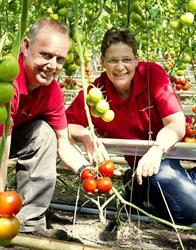 Aldo BV / Natuurlijktomaat, Dongen openingstijden