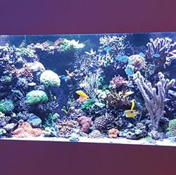 Aquarium Service Best Best, openingstijden