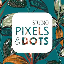 Studio Pixels & Dots Oosterhout (Noord-Brabant), openingstijden