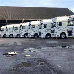 Brugge Transport/p B.V. Onstwedde, openingstijden