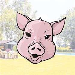 B&B de Knorrehoeve Rhenen, openingstijden