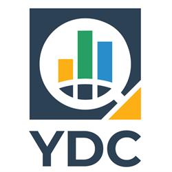 Your Data Company B.V., Vianen openingstijden