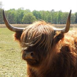 De Eexter Os Eext, openingstijden