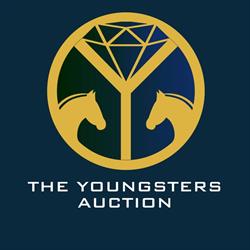 The Youngsters Auction Eemnes, openingstijden