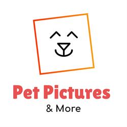 Pet Pictures & More Sweikhuizen, openingstijden