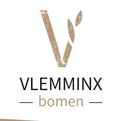 Vlemminxbomen, Boomkwekerij Oirschot, openingstijden