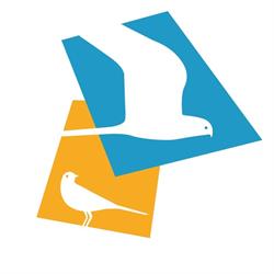 Grauwe Kiekendief - Kenniscentrum Akkervogels Zuidlaren, openingstijden