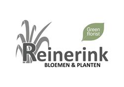 Reinerink Bloemen en Planten B.V. Manderveen, openingstijden