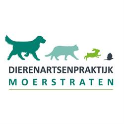 DAP Moerstraten, openingstijden