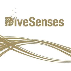 DiveSenses Breda, openingstijden