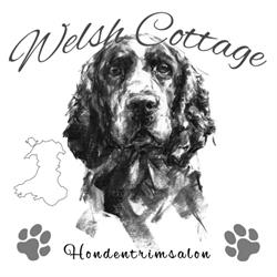 Hondentrimsalon Welsh Cottage BornerBroek, Bornerbroek openingstijden