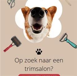 Dog's Totaal (Trimsalon, Hondenbenodigdheden, Dierentolk, Trainingen), Barchem openingstijden