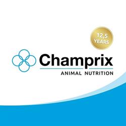 Champrix BV, 's-Hertogenbosch openingstijden