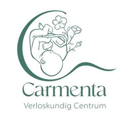 Carmenta Verloskundig Centrum 's-gravenhage, 's-Gravenhage openingstijden