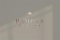 PAMPASKONING, Groningen openingstijden