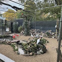 Vogelspeciaalzaak de Toekan, Apeldoorn openingstijden