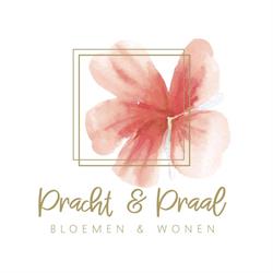 Pracht & praal bloemen, Baarle-Nassau openingstijden