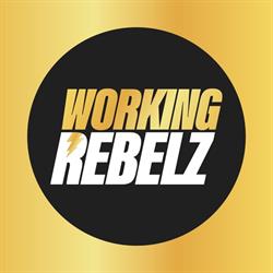 Working Rebelz B.V., Hilversum openingstijden