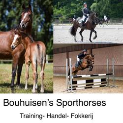 Bouhuisen Sporthorses, Nieuwe-Tonge openingstijden