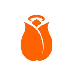 Holland Startup B.V., Utrecht openingstijden