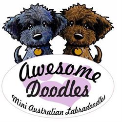 Awesome Doodles, Norg openingstijden