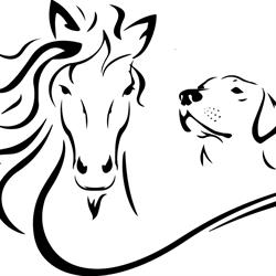 Paarden & Honden verzorgingsservice Emmen, openingstijden