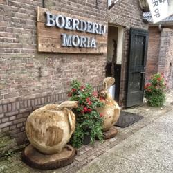 Moria Fruit, Wilp openingstijden