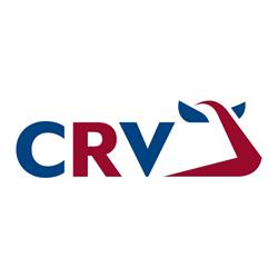 CRV, Arnhem openingstijden