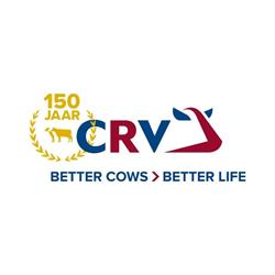 CRV, Arnhem openingstijden