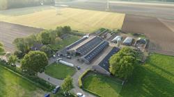 Melkveebedrijf Nabuurs VOF, Sint Hubert openingstijden