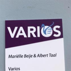 Varios B.V., Hoek van Holland openingstijden