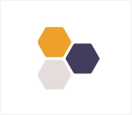 Pitchbees Zuid Amsterdam - openingstijden