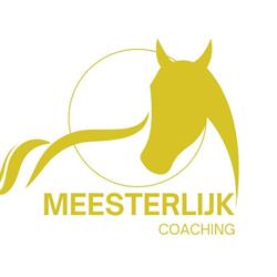 Meesterlijk Coaching, Schaijk openingstijden