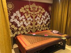 Spa & Thaise Massage Castricum, openingstijden
