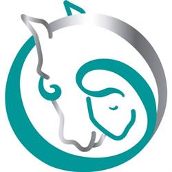 Dabeau Coaching met paarden, Koedijk openingstijden