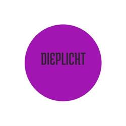 Dieplicht, Amersfoort openingstijden