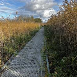 De Hoeksteen Vollenhove, openingstijden