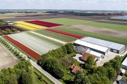VaVi Tulips van Vilsteren C.V., Luttelgeest openingstijden
