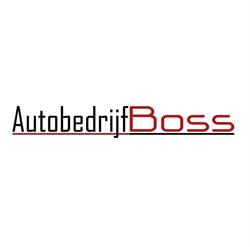 Autobedrijf Boss (geopend op afspraak), Heinenoord openingstijden