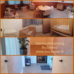 Gastouderopvang Buzybeez, Doetinchem openingstijden