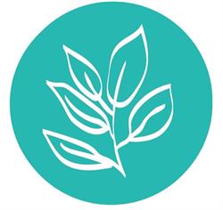 Djente Gorter Homeopathie, 's-Gravenhage openingstijden