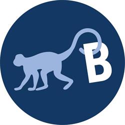 Blue Monkey Media, Groningen openingstijden
